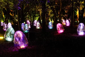 【大阪】チームラボ ボタニカルガーデンへ行ってきた