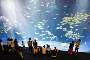 【香川】今話題の四国水族館へ行ってきた（見どころ・アクセスなどご紹介）