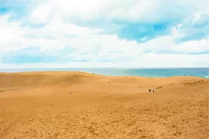 鳥取旅行はどこに泊まる？エリア別・目的別おすすめホテル