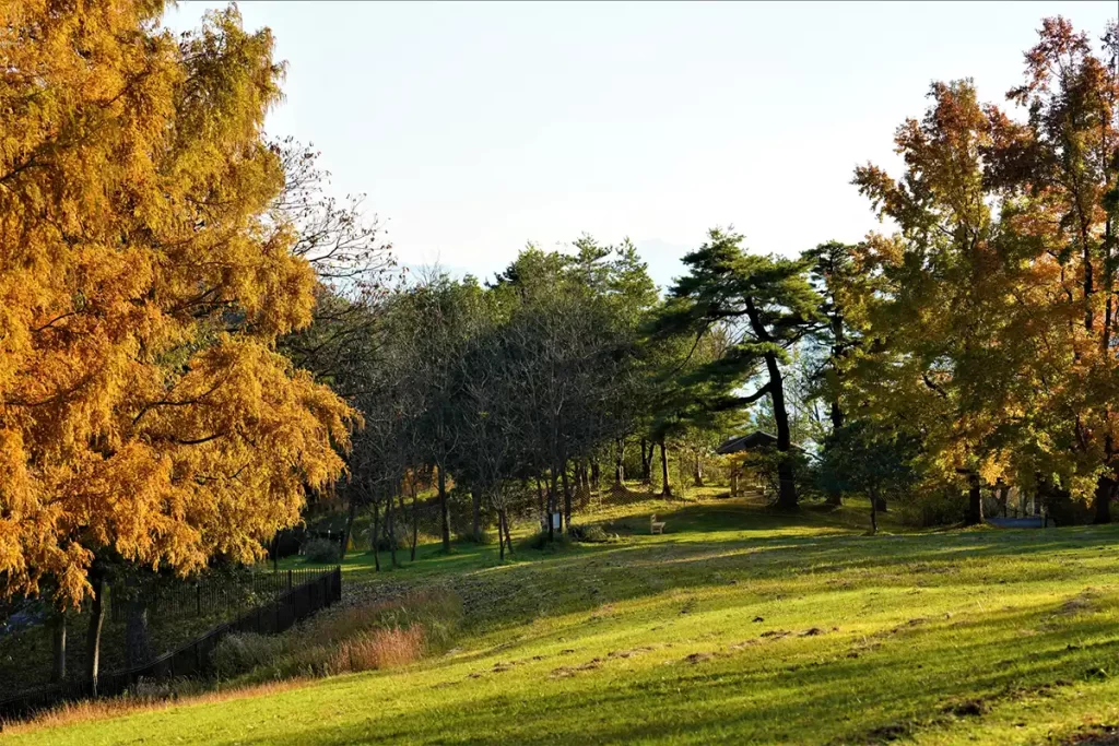 舞鶴自然文化園