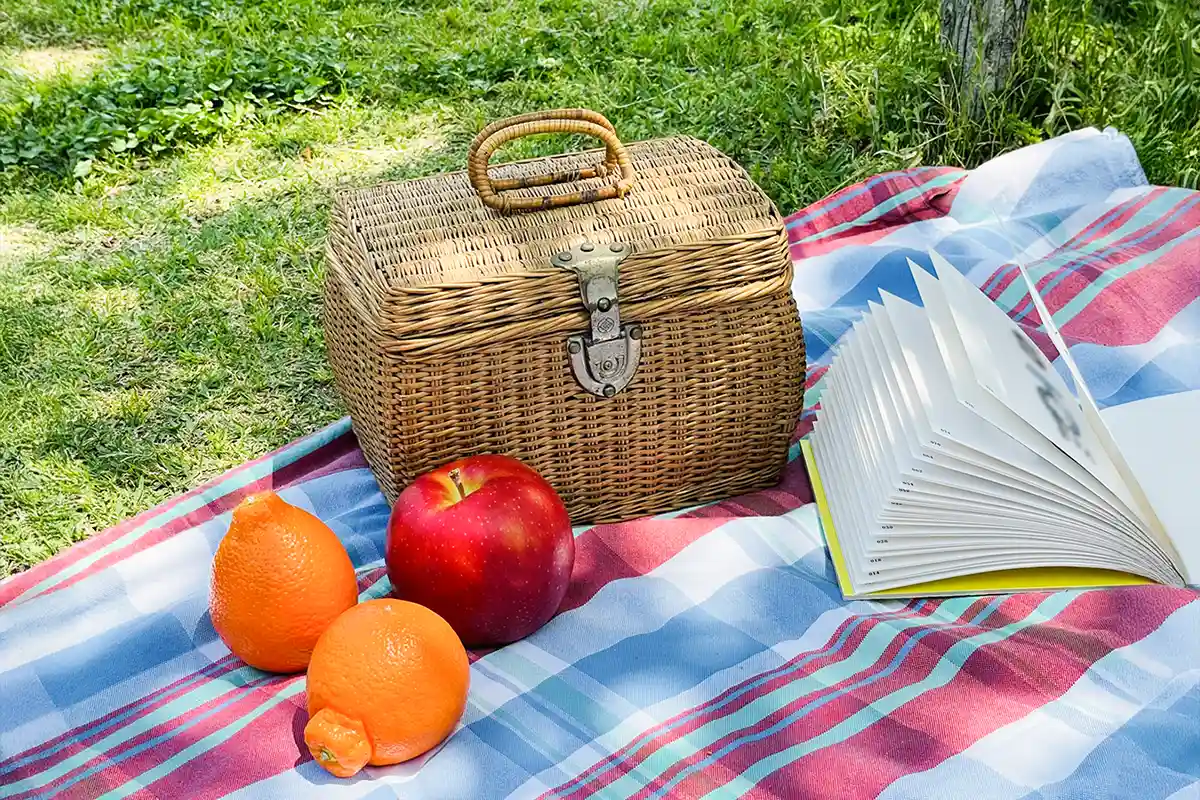 レジャーシート