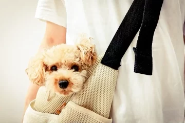 【2026年版】おしゃれな犬用キャリーバッグ10選｜愛犬とのお出かけ・旅行に人気のモデル