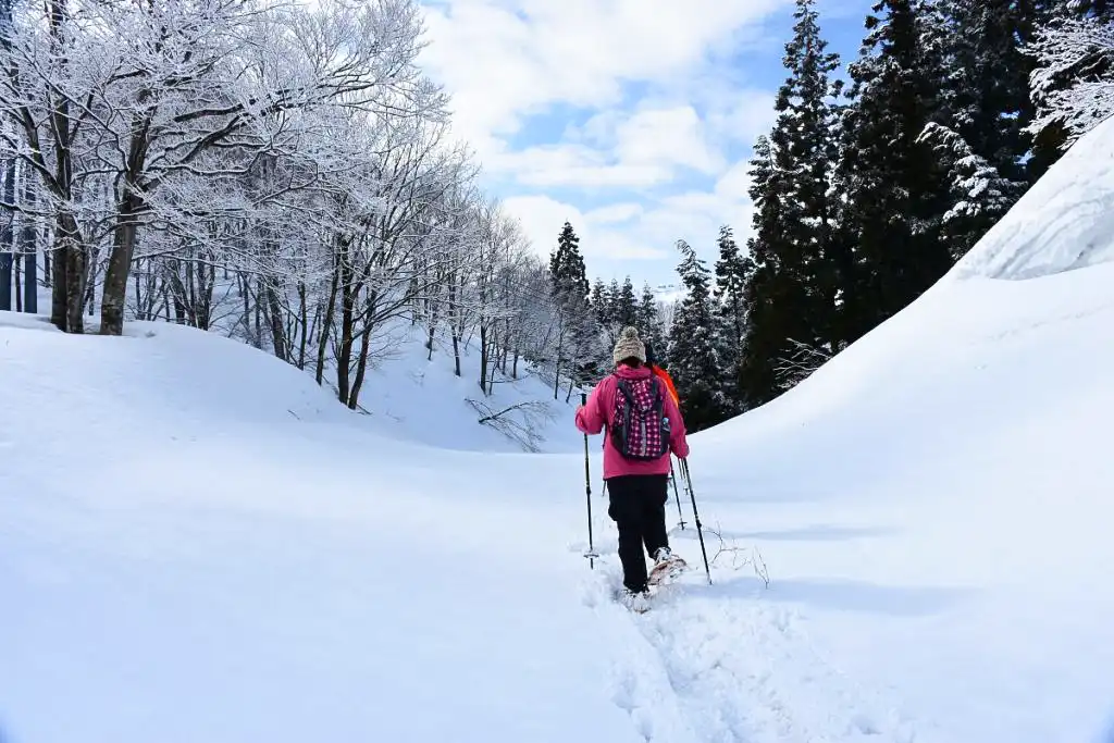 【2026年版】魚沼市の冬を満喫！おすすめスノーアクティビティ＆奇祭ガイド
