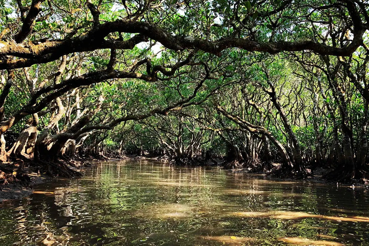 鹿児島県奄美大島
