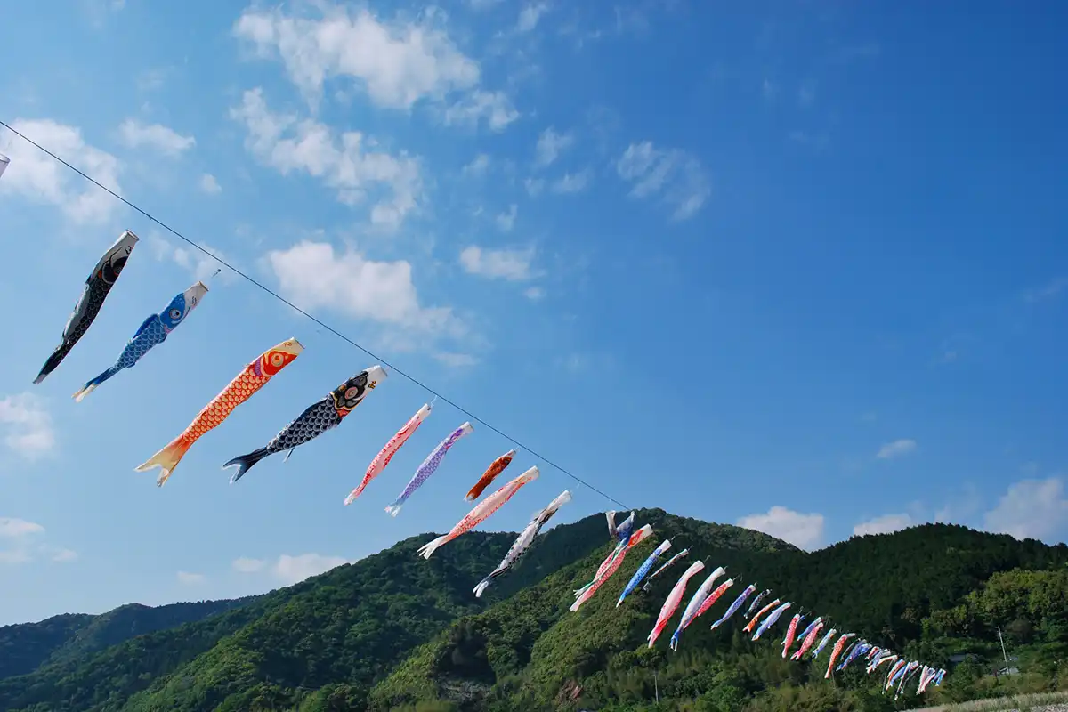 四万十川のこいのぼり