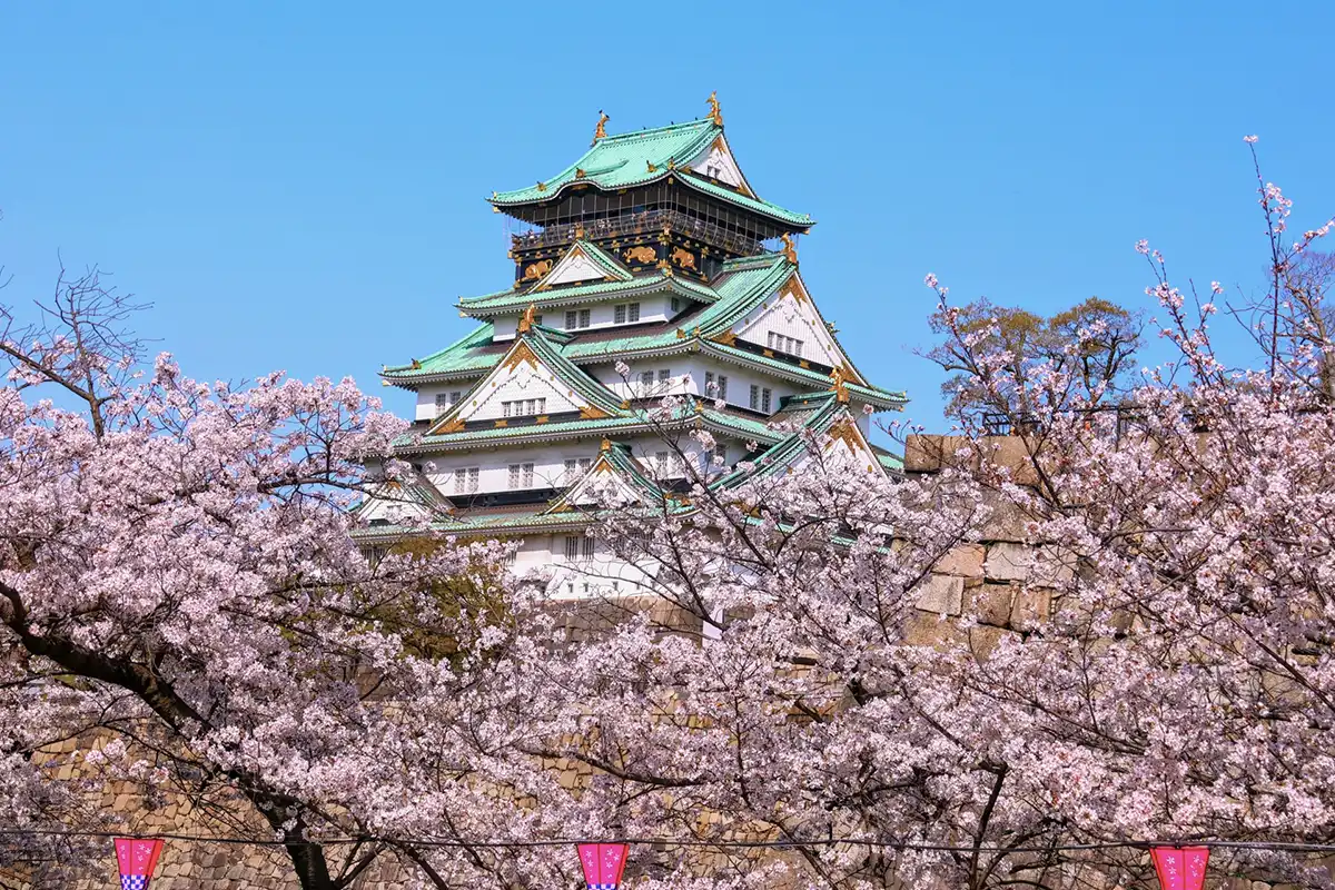 大阪城の桜